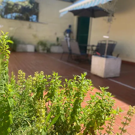 דירה Terrazza Flaminia